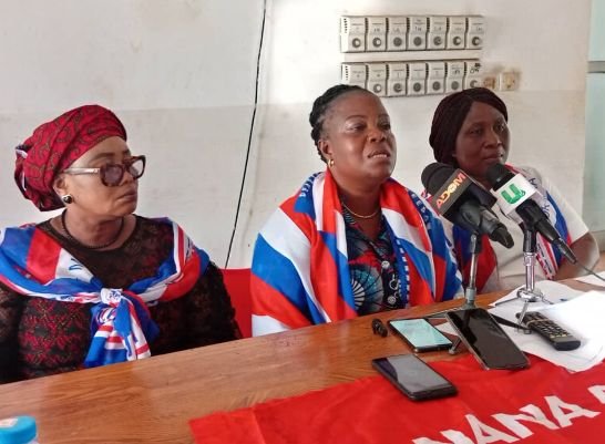 NPP women want woman running mate