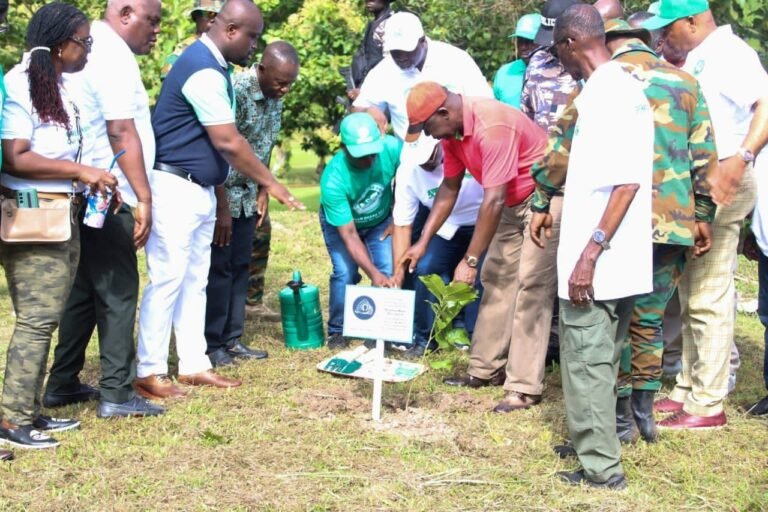 The tree planting exercise