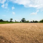 360_F_548137168_dSTRumaZSTQtyqvprspQiGTZTb7Mb2GR