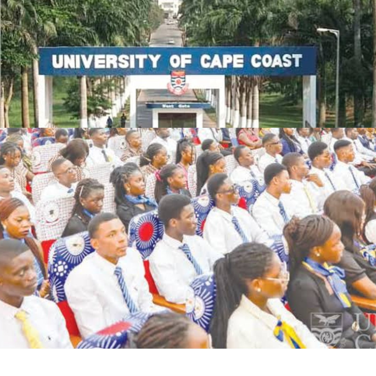 PhotoGrid_Site_1771237524254